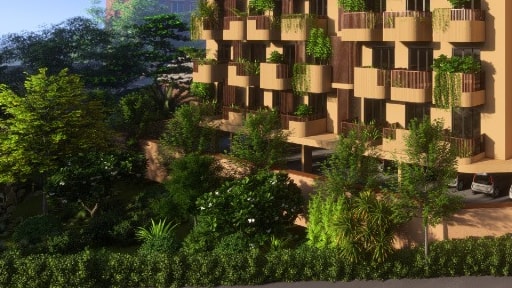 Mature Neem & Rain Trees on Perimeter